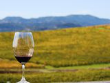 Les savoir-faire français au service des vins de Californie
