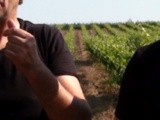Jean Christophe Bersan présente le vignoble de Saint-Bris en Bourgogne