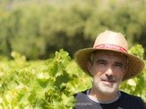 Hervé Tabar, domaine de Bellefontaine, un vigneron unique à l’extrémité de l’appellation Pézenas
