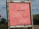 Aller-retour entre Paris et Chouzé-sur-Loire : deux rencontres pour mieux découvrir Laurent Herlin et ses vins