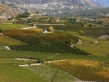 Viticulture en Valais: quelques faits