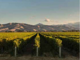 La nouvelle-zélande pinot noir