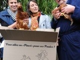 L’adoption des poules par des particuliers s’est répandue sur le territoire depuis l’initiative de Pincé dans la Sarthe