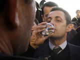 Les vins que Sarkozy devrait boire