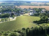 Bordeaux ou Bourgogne ? Les clés pour choisir son vin