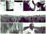 Les vins du Château du Cèdre à Cahors atteignent un rare niveau de qualité et de régularité