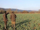 Accident de chasse dans le Cantal : La gauche réclame à nouveau l'interdiction le week-end