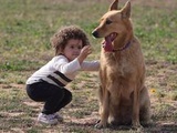 « Demander au chien son accord avant de le caresser... » Comment éviter les morsures