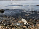 Espagne : Une chaîne humaine pour dénoncer la pollution aux nitrates agricoles de la mer Mineure