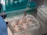 Lyon : Sanofi va injecter 1,5 milliard d'euros pour développer l'ARNm