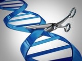 Molecular scissors