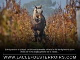 A voir : le film documentaire « La Clef des Terroirs » au Château d’Aigle