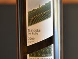 Galope, galope mon Galotta