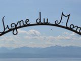 Le millésime 2011 du vin de la Vigne du Monde rassemble 4 continents