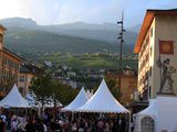 Le salon Vinéa 2011 : la rue oenophile s’offre à vous le week-end prochain