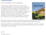 Les origines des cépages valaisans et valdôtains