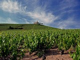VdV #49 : le vin et les fleurs - Fleurie en Beaujolais