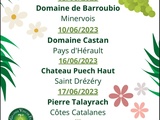 Dégustations vigneronnes du caviste en juin à Montpellier