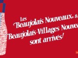 Les Beaujolais Nouveaux arrivent à Montpellier chez le caviste
