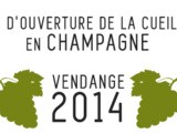 Les dates de la vendange 2014 en Champagne