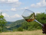Le vin naturel de Didier Mouton en Corrèze, écoutez-voir
