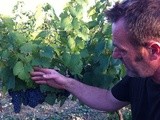 Un vigneron aux vins rares 5, en Languedoc : Jeff Coutelou