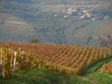 Vdv #79 Vinothérapie d’automne en Beaujolais