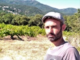 Vin nature en Roussillon, Le Temps Retrouvé de Michaël Georget. Ecoutez-voir