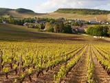 Bourgogne, Chablis et Grand Auxerrois