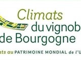 Climats de Bourgogne à l’Unesco