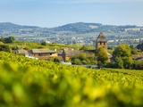 Des premiers crus pour Pouilly-Loché et Pouilly-Vinzelles