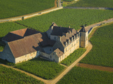 Gaulois, Grecs, Romains… Qui a produit le premier vin de Bourgogne