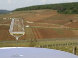 Trois tendances pour les vins de Bourgogne en 2023