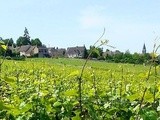 Vin Bourgogne 2013