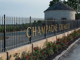 J’ai goûté pour vous … Evidence – Champagne Gremillet – Balnot-sur-Laignes