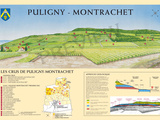 Climat gc : Chevalier-Montrachet à Puligny-Montrachet