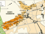 Climat Grand Cru : Ruchottes Chambertin à Gevrey-Chambertin