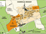 Climat Premier Cru de Chambolle-Musigny: Les Amoureuses