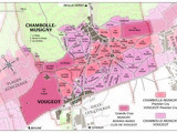 La Côte de Nuits 28: les Amoureuses à Chambolle-Musigny