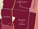 Le grand cru Mazoyeres Chambertin