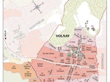 Volnay: la perle de la Côte de Beaune