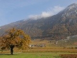 Entre Chignin et Arbin: sortie d’hiver en Savoie