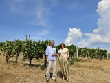 Monte Bernardi, Panzano in Chianti : sur l'autre versant de la Conca d'Oro