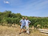 Val delle Corti, Radda in Chianti : histoire du Gallo Nero et vins de Roberto Bianchi