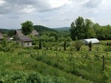 À la découverte du Vermont viticole
