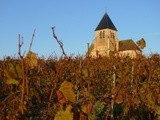 Les Vieilles Vignes de Sainte Claire, Jean Marc Brocard 2013