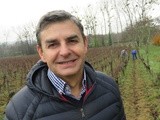Au château Poupille, Philippe Carille valorise ses sarments de vigne en bois de chauffage