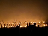 Bordeaux : ces vignerons qui ont une patte et s’éclatent en vins de France