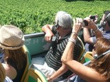 Bordeaux : la destination oenotouristique prisée de « l’été indien »