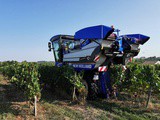 Covid-19 : les députés votent une réduction de charges pour les viticulteurs